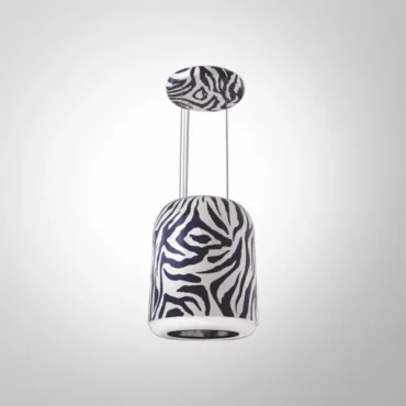 ZEBRA41(IS)